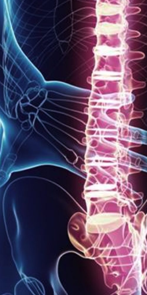 The Matai mindful formula heals your spine quicker with a combination of healing and strengthening techniques working safely, effectively slowing down ageing, enhancing prosperity.