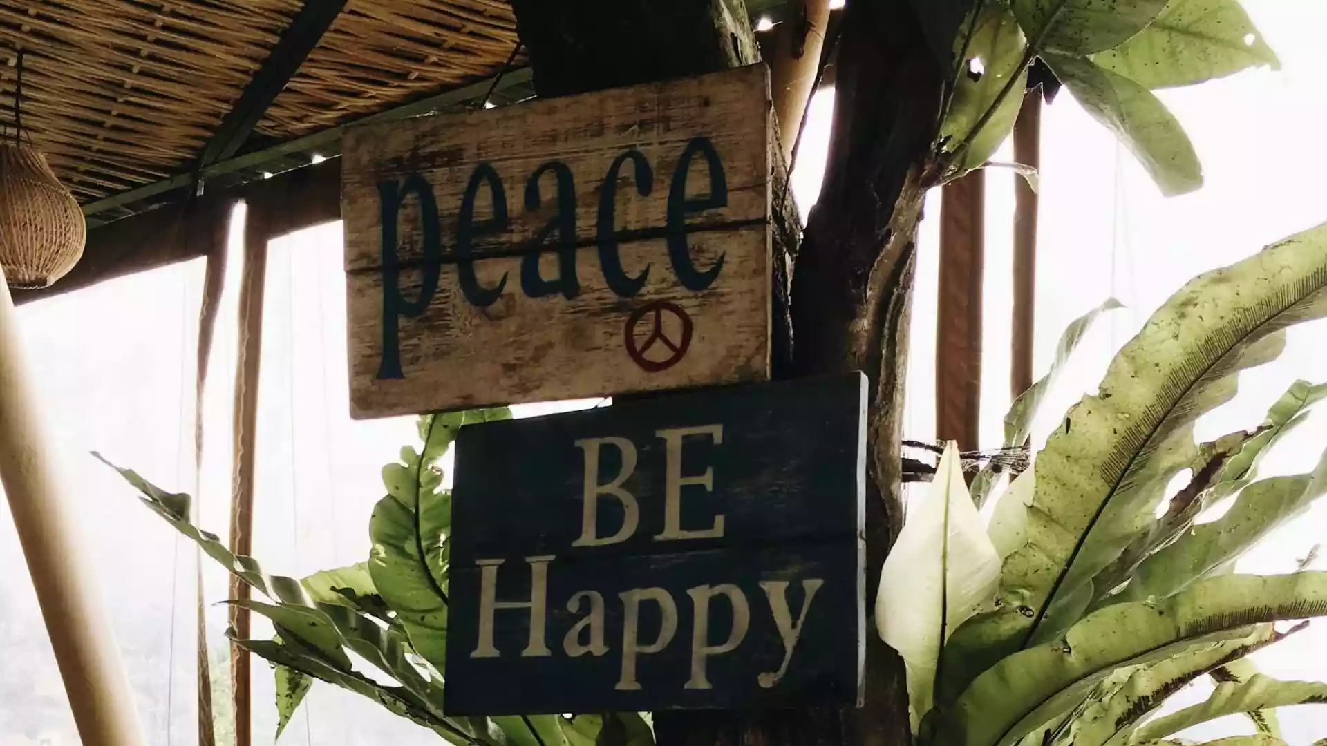 Matai Miracle Spinal Healing