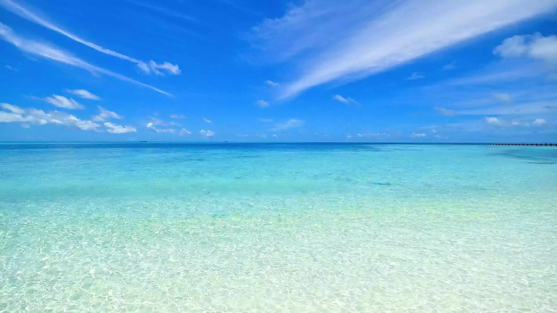 beach