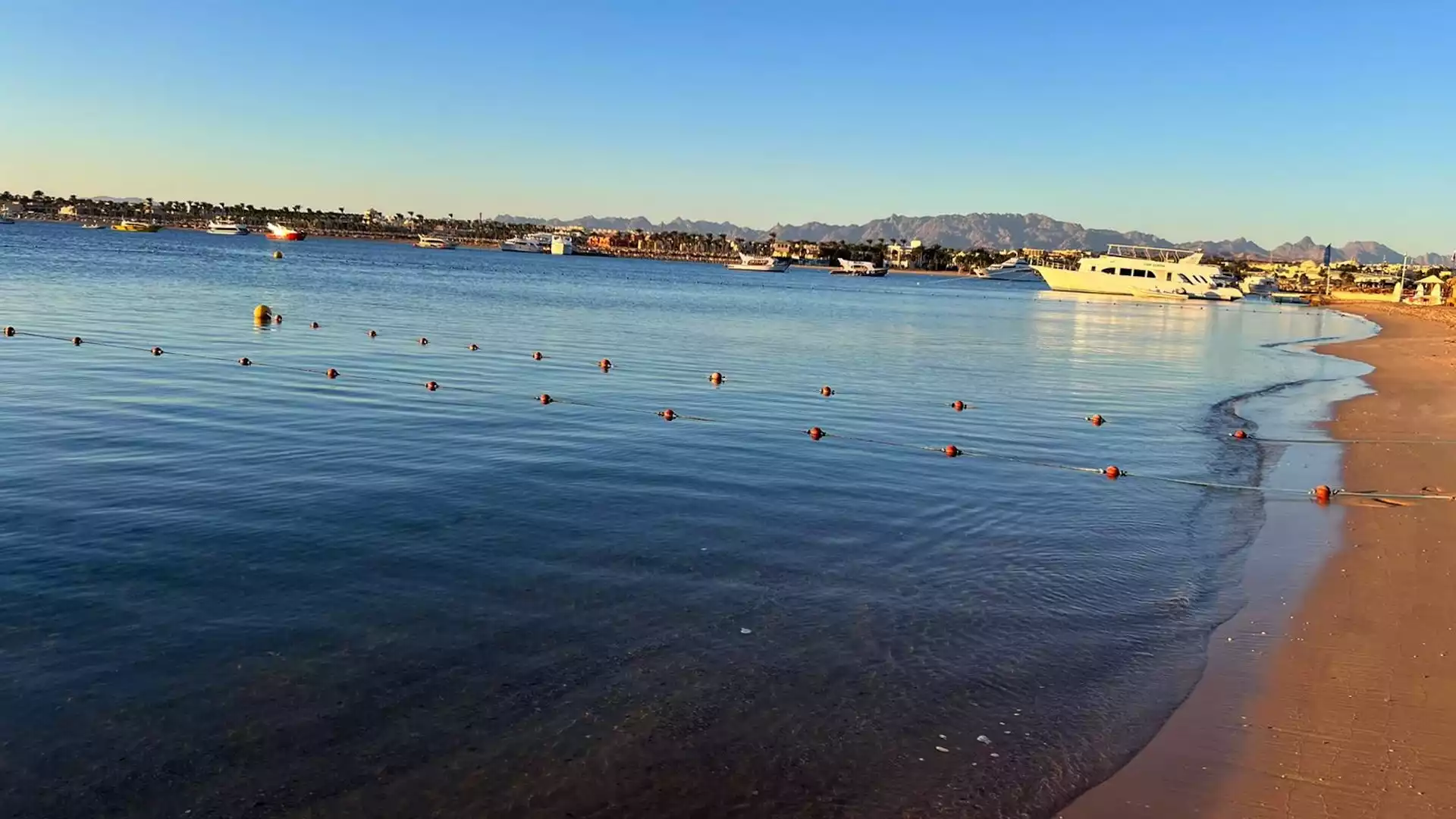 Matai Mini Retreats, Clinics and Workshops