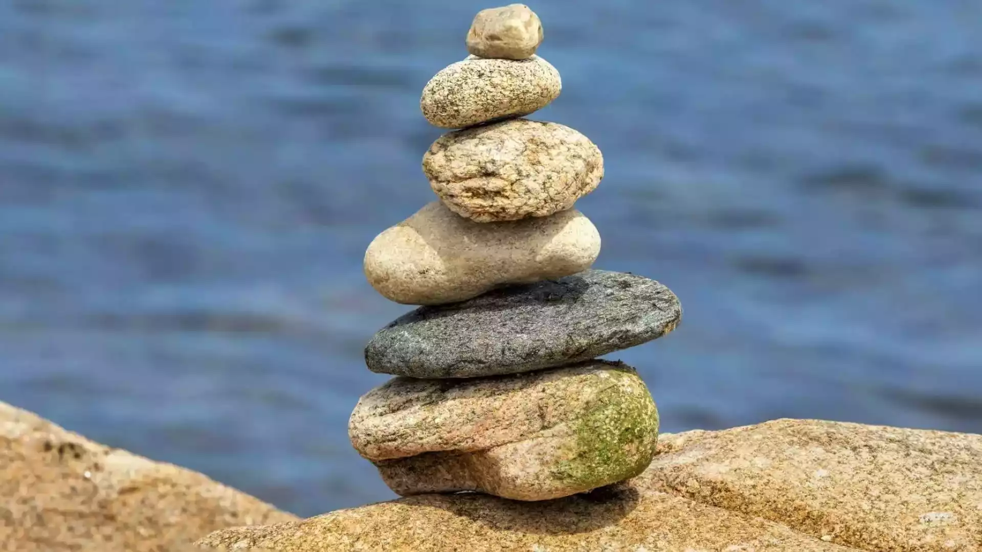 Discover a new zest for life with Matai Holistic Sports Therapy tools to stay in the ascendancy, experience power nutrients inclusive of the price to take mind and body to the next level.